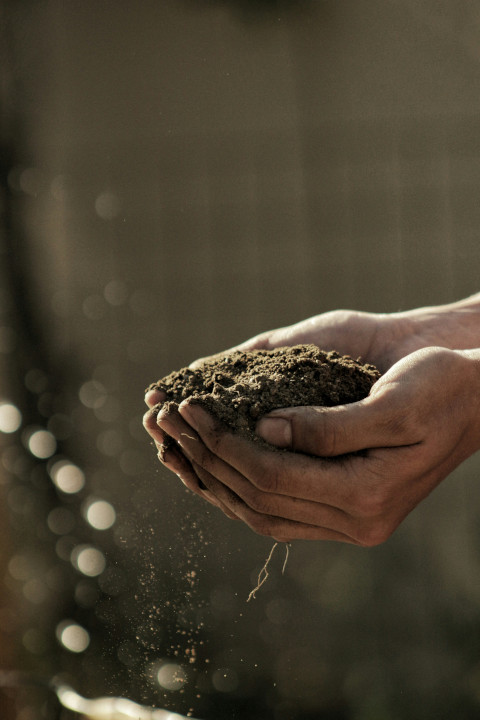 agriculteur tenant de la terre entre ses mains